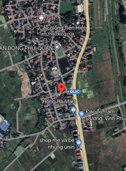 Bán đất huyện Tam Dương tỉnh Vĩnh Phúc, giá 800 triệu-01