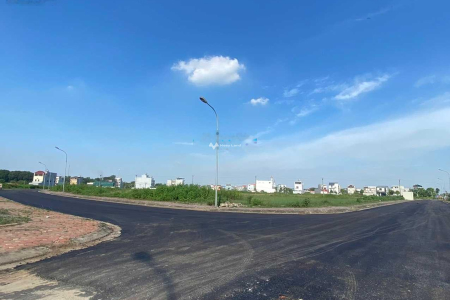 Đường 35, Quang Minh 4.5 tỷ bán đất diện tích rộng lớn 250m2-01