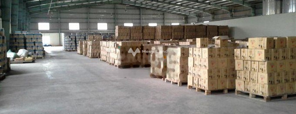 Cho thuê kho xưởng KCN Đại Đăng, Thủ Dầu Một 25.000m2. Giá thỏa thuận -02