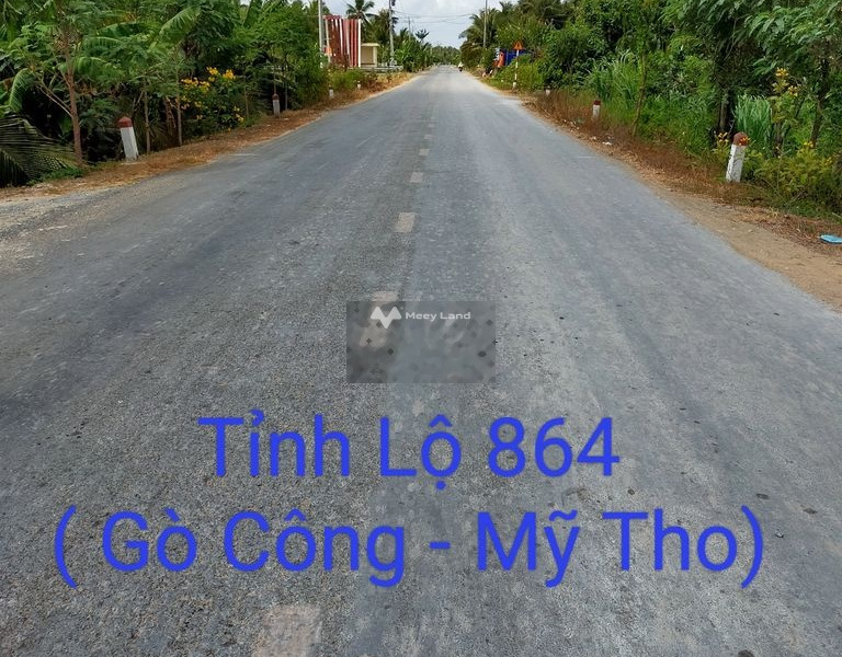 Bán đất 700 triệu Tỉnh Lộ 864, Tiền Giang diện tích 250m2-01