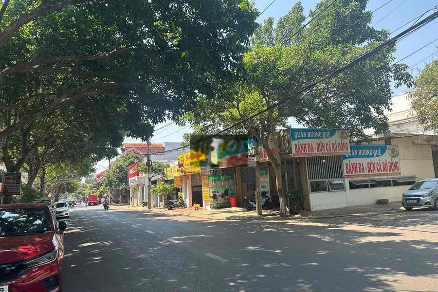 Đất mặt tiền kinh doanh đường Nguyễn Hữu Thọ -01