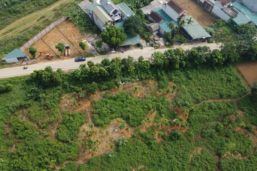 Bán đất mặt tiền nằm ngay Yên Bình, Hà Nội. Diện tích 850m2-01