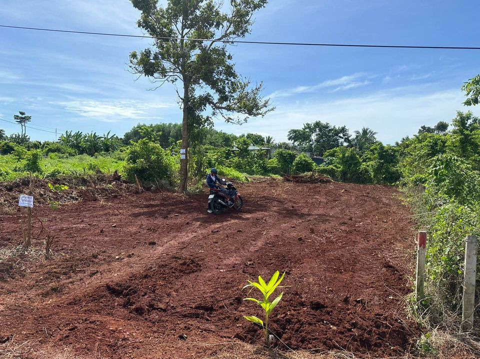 Cần bán kho bãi - nhà xưởng - khu công nghiệp huyện đất đỏ tỉnh bà rịa - vũng tàu giá 2.0 tỷ-1