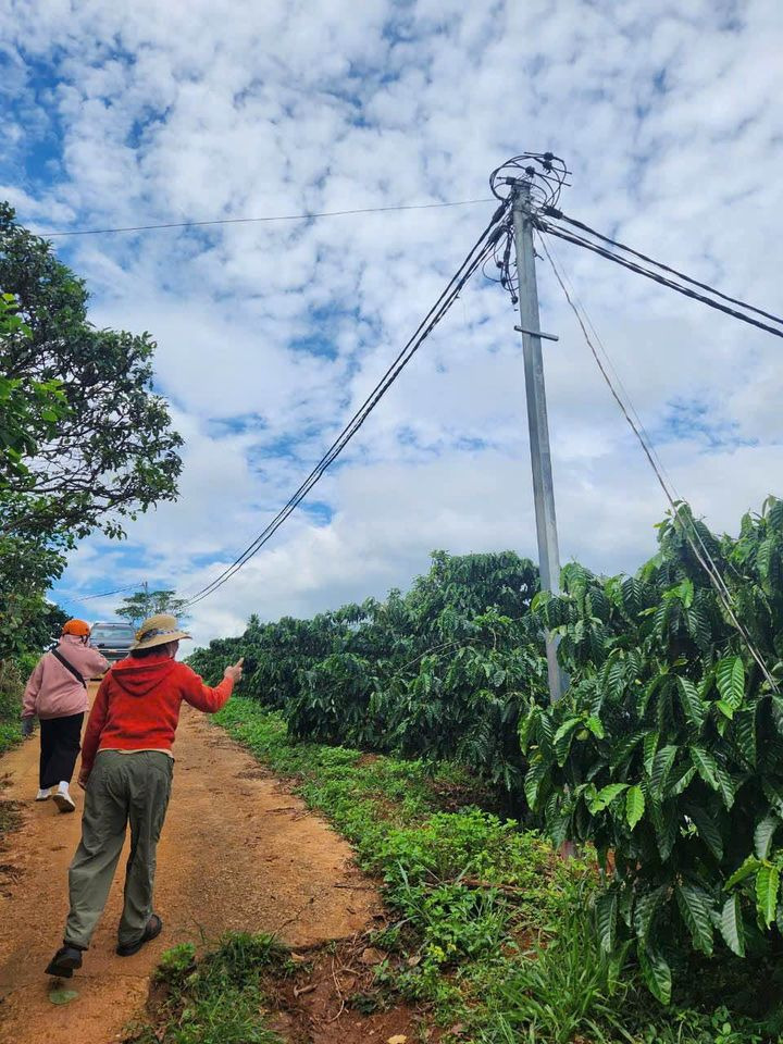 Bán đất huyện Di Linh tỉnh Lâm Đồng giá 1.7 tỷ-0