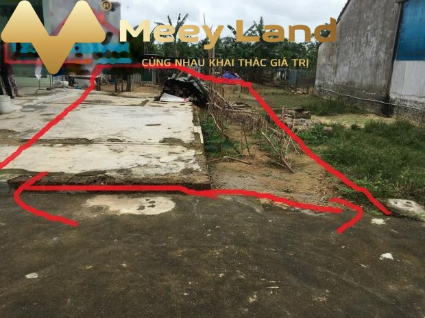 Vị trí đặt gần Nghĩa Dõng, Quảng Ngãi bán đất, giá chính chủ chỉ 680 triệu, hướng Nam diện tích là 110 m2