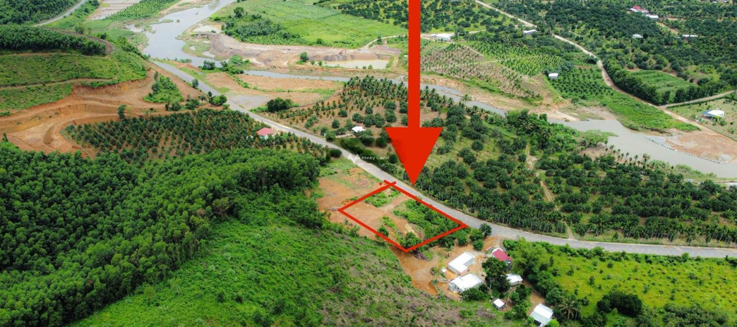Hương Lộ 62, Khánh Hòa bán đất giá bán cực rẻ từ 3.2 tỷ có diện tích tiêu chuẩn 5570m2