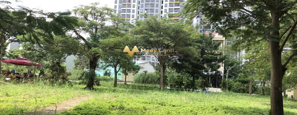 Lovera Park Xã Phong Phú, Huyện Bình Chánh bán đất giá đề cử từ 4.8 tỷ có diện tích 100m2-02