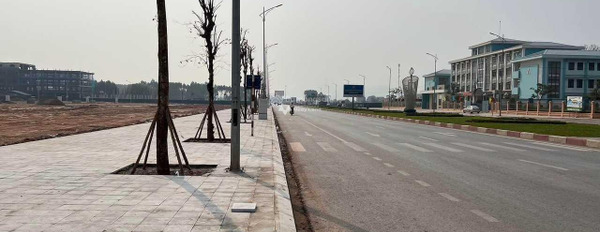 Tân Tiến, Bắc Giang bán đất diện tích rộng lớn 93m2-02