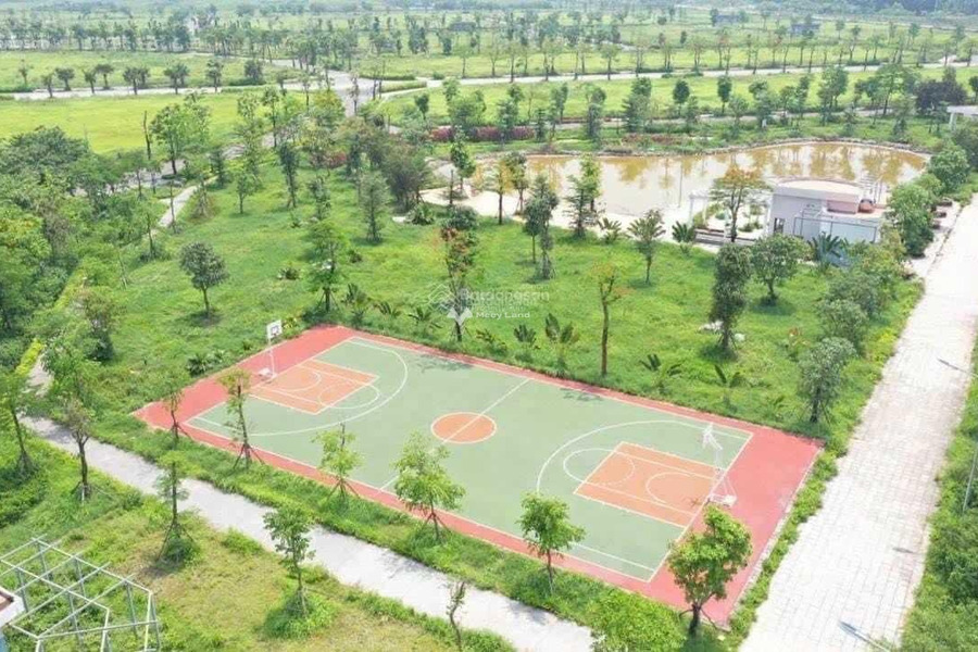 Giá bán cực mềm 8.85 tỷ bán biệt thự có một diện tích sàn 250m2 vị trí đặt ở tại Thanh Lâm, Mê Linh, căn này có 2 phòng ngủ, 2 WC-01