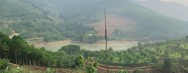 Bán 3,7ha đất khai hoang view hồ Ngành, Lương Sơn, đã nằm trong quy hoạch 70% lên đất vườn và ở trao đổi trực tiếp-03
