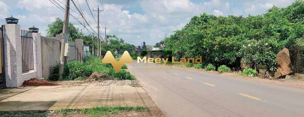 Giá đề cử từ 159 triệu, Bán đất có dt là 100 m2 Bên trong Xã Sông Thao, Tỉnh Đồng Nai khu vực dân cư-02
