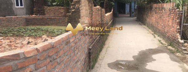Bán đất 440 triệu Xã Quang Tiến, Huyện Sóc Sơn dt thực là 40 m2-03