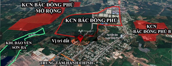 700 triệu bán đất diện tích thực dài 200m2 vị trí đặt ngay trên Thắng Lợi, Tân Phú-03