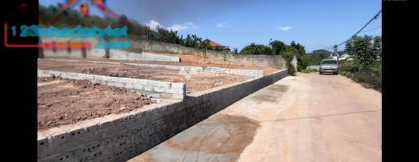 Khoảng từ 750 triệu bán đất có diện tích rộng 235m2 trong Tân Thanh, Lạng Giang-02