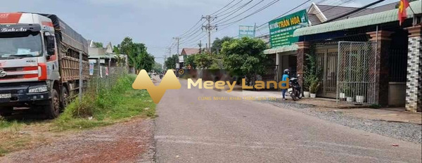 Giá đề cử từ 159 triệu, Bán đất có dt là 100 m2 Bên trong Xã Sông Thao, Tỉnh Đồng Nai khu vực dân cư-03