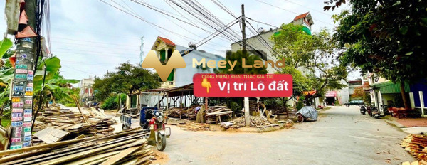 Cần bán đất tại An Đồng, An Dương, Hải Phòng. Diện tích 300m2, giá 8 tỷ-03