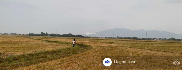 Hương Lộ, Diên Sơn bán đất giá bán cạnh tranh chỉ 80 triệu diện tích tiêu chuẩn 565m2-02