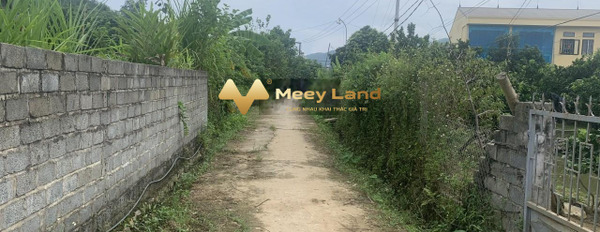 Mặt tiền tọa lạc ngay Thu Phong, Cao Phong bán đất dt 7000 m2-03