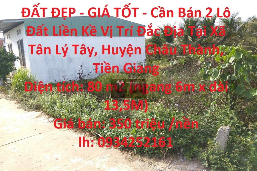 Bán đất 350 triệu Tân Lý Tây, Tiền Giang, diện tích 80m2-01