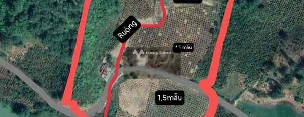 7 tỷ bán đất có diện tích chung là 60000m2 vị trí đặt vị trí ở Nam Xuân, Krông Nô-02