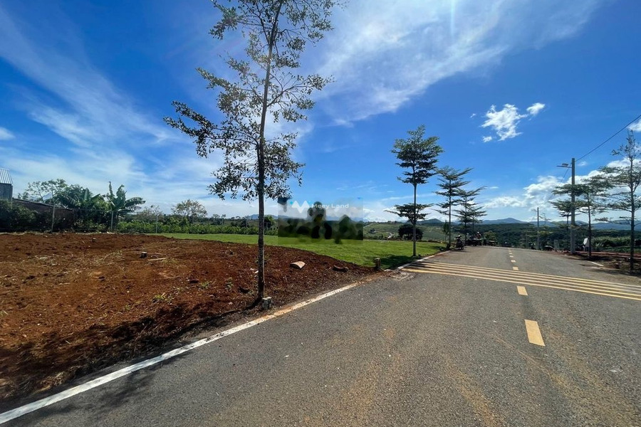 Bán mảnh đất 100m2 vị trí đặt ở Đạm Bri, Lâm Đồng thuận tiện đi lại-01