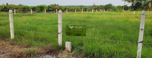 Vị trí thuận lợi tọa lạc ngay trên Lộc Ninh, Tây Ninh bán đất giá bán ngạc nhiên chỉ 350 triệu Diện tích đất 150m2-03
