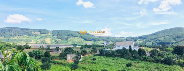 Bán mảnh đất 502m2 giá tốt bất ngờ chỉ 1,08 tỷ vị trí đặt tọa lạc ngay Đường ĐT 725, tỉnh Lâm Đồng khu vực dân cư-02