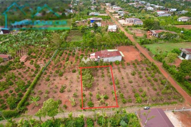 Vị trí đặt tọa lạc ngay trên Quốc Lộ 14, Bình Thuận bán đất, giá bán thương lượng chỉ 485 triệu có diện tích chuẩn 262m2-01