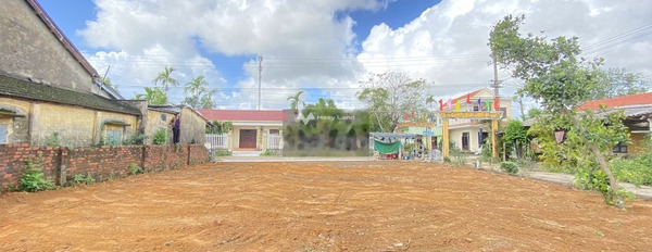 Có nhu cầu bán mảnh đất, 165m2 giá bán khoảng từ 990 triệu vị trí đặt gần Tam Kỳ, Quảng Nam giao thông thuận lợi-02