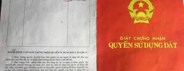 Giá bán tốt 3.7 tỷ bán đất có dt chung 78 m2 vị trí nằm ngay Đường Phạm Cự Lượng, Phường An Hải Đông-02