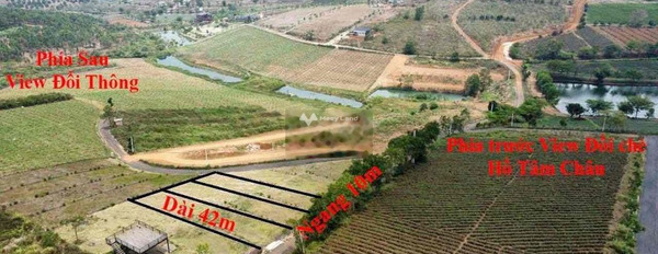 800 triệu bán đất diện tích khoảng 630m2 vị trí đẹp tọa lạc trên Lộc Tân, Bảo Lâm, hướng Đông Nam-03