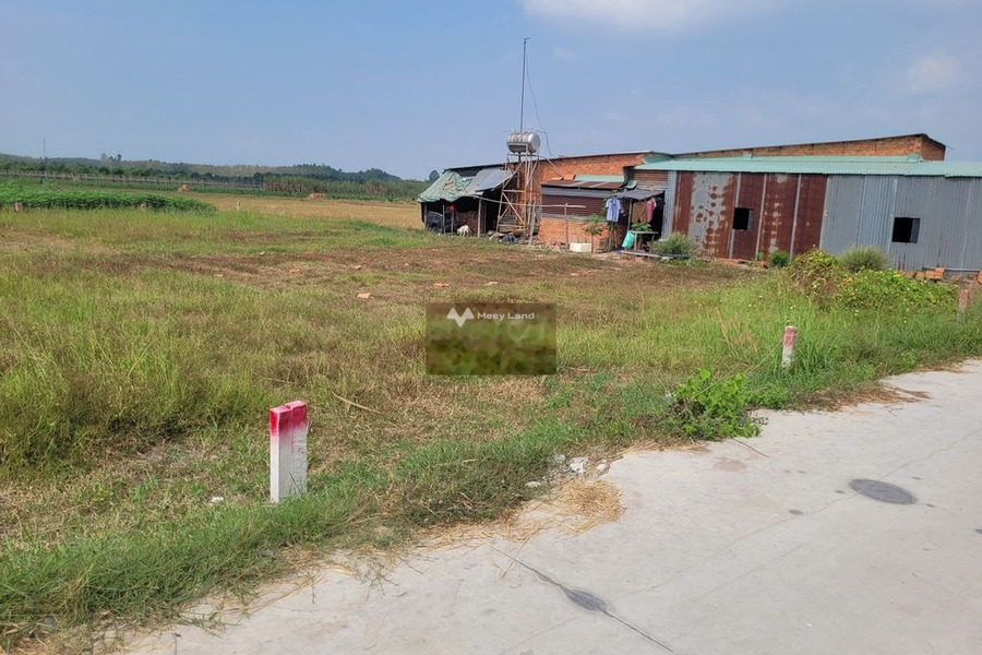 Vị trí cực kì thuận lợi ngay tại Phước Thạnh, Tây Ninh bán đất, giá bán đề cử 540 triệu diện tích thực khoảng 134m2-01
