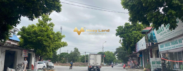 Cần bán mảnh đất tại Lam Sơn, Thanh Miện, Hải Dương. Diện tích 94m2, giá 2,95 tỷ-03
