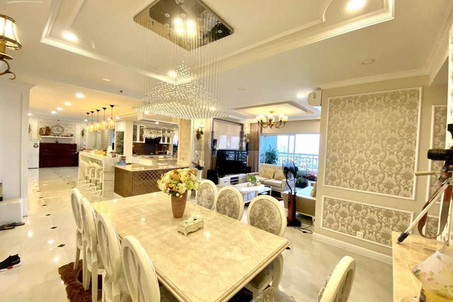 Cho thuê chung cư vị trí mặt tiền tọa lạc ngay trên Tân Bình, Hồ Chí Minh giá thuê siêu rẻ từ 14 triệu/tháng-01