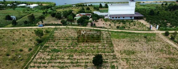 Vị trí đẹp ngay ở Ea Kar, Đắk Lắk bán đất giá đề xuất chỉ 250 triệu diện tích quy đổi 1000m2-03