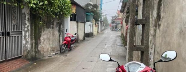 Cần bán đất Thanh Trì, Hà Nội diện tích 43m2-03