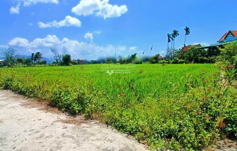 Giá siêu rẻ 1.95 tỷ bán đất diện tích rất rộng 1800m2 vị trí thuận lợi tọa lạc ở Ninh Giang, Khánh Hòa, hướng Đông Bắc-01