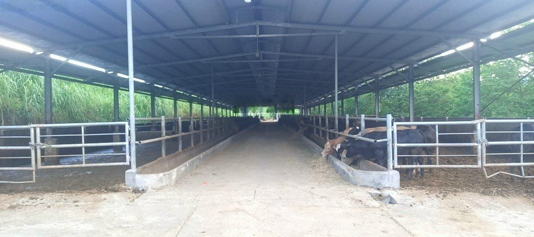 Giá bán cơ bản từ 15 tỷ Bán trang trại tổng diện tích 50000m2 vị trí đặt tại trung tâm Khánh Vĩnh, Khánh Hòa