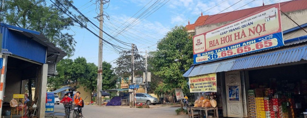 Bán đất diện tích 129m2 tại Nam Sơn, Hà Nội-03