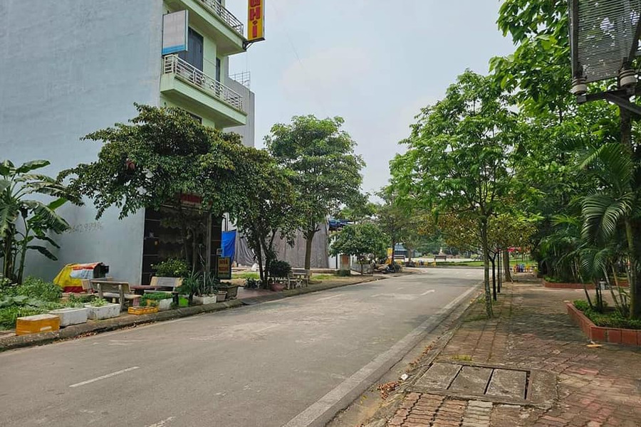 Bán nhà riêng thành phố Bắc Ninh, tỉnh Bắc Ninh giá 4 tỷ-01