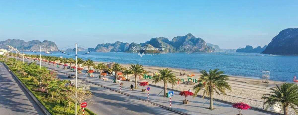 Tại Green Dragon City bán đất có diện tích chính 111.1m2 vị trí ngay ở Cẩm Phả, Quảng Ninh, hướng Đông - Nam-03
