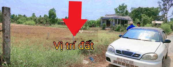 Bán đất tại Mỹ Thạnh Đông, Đức Huệ. Diện tích 1000m2-03