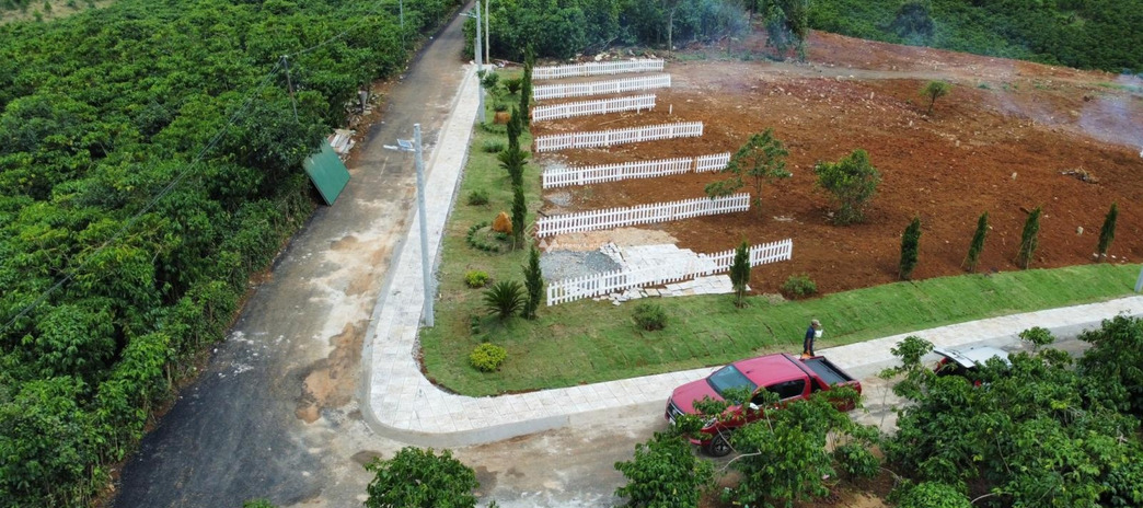 Ngay Lộc Ngãi, Lâm Đồng bán đất 800 triệu với diện tích tiêu chuẩn 176m2