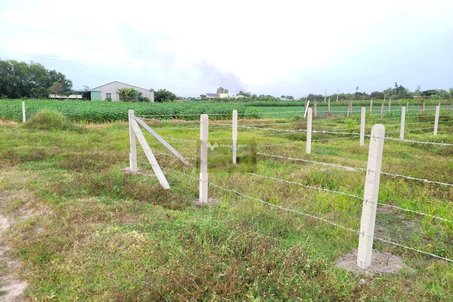Giá cực tốt chỉ 760 triệu bán đất có diện tích quy ước 301m2 mặt tiền tọa lạc ngay Trảng Bàng, Tây Ninh-01