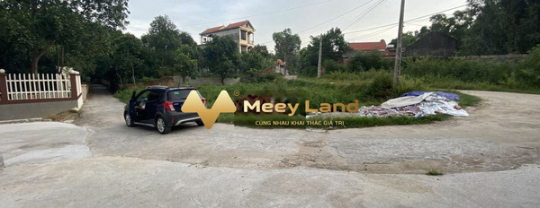 Hiền Lương, Bắc Ninh bán đất giá bán ưu đãi 1.6 tỷ, hướng Nam Diện tích đất 197 m2-03