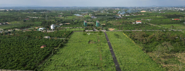 Lộc Châu, Bảo Lộc 1.6 tỷ bán đất có diện tích tổng 500m2-03