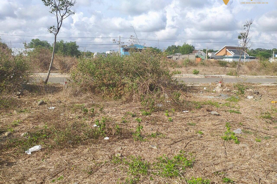 Chính chủ cần bán đất mặt tiền xã Long Phước, khu Gia Phát, thành phố Bà Rịa-01