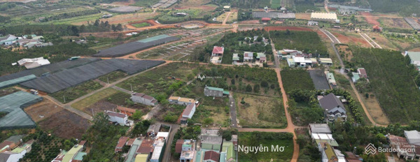 Bảo Lộc, Lâm Đồng 850 triệu bán đất có diện tích quy ước 118m2-02