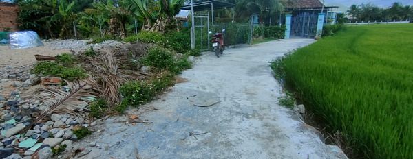 Bán đất Diên Sơn sát bên đường Nhà Vuông - đất nhà cắt bán-03