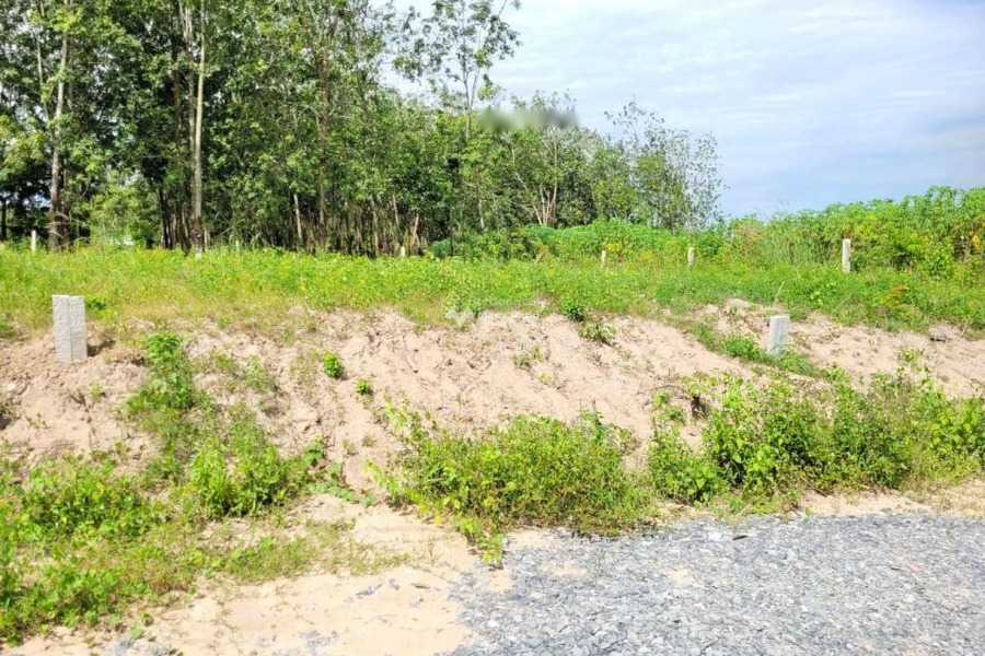 Giá bán thương lượng chỉ 380 triệu bán đất có diện tích quy ước 127m2 vị trí thuận lợi nằm tại Đôn Thuận, Tây Ninh-01